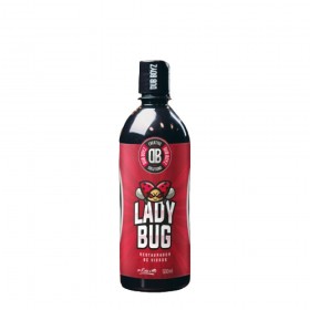 Restaurador de Vidros Lady Bug 500ml Dub Boyz