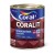 Coralit Ultra Resistência Alto Brilho Branco 900ml Coral